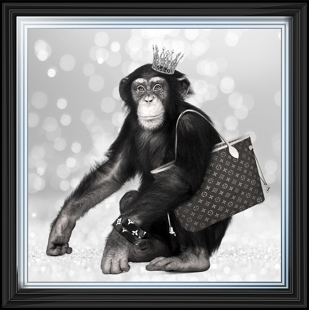 AN151 FASHION MONKEY