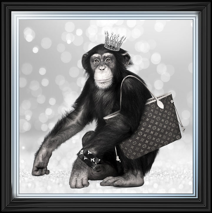 AN151 FASHION MONKEY