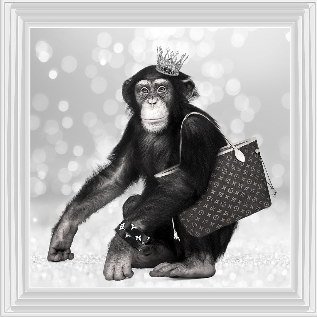 AN151 FASHION MONKEY