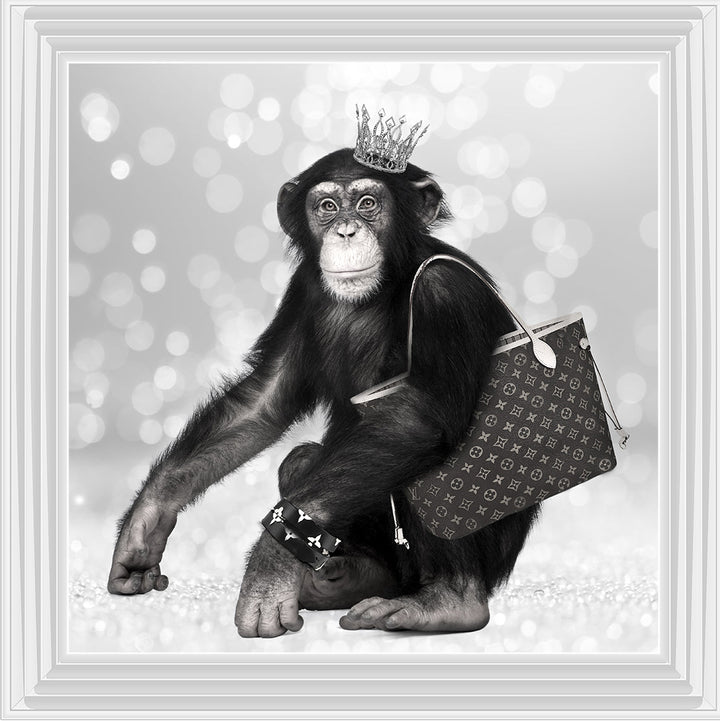 AN151 FASHION MONKEY