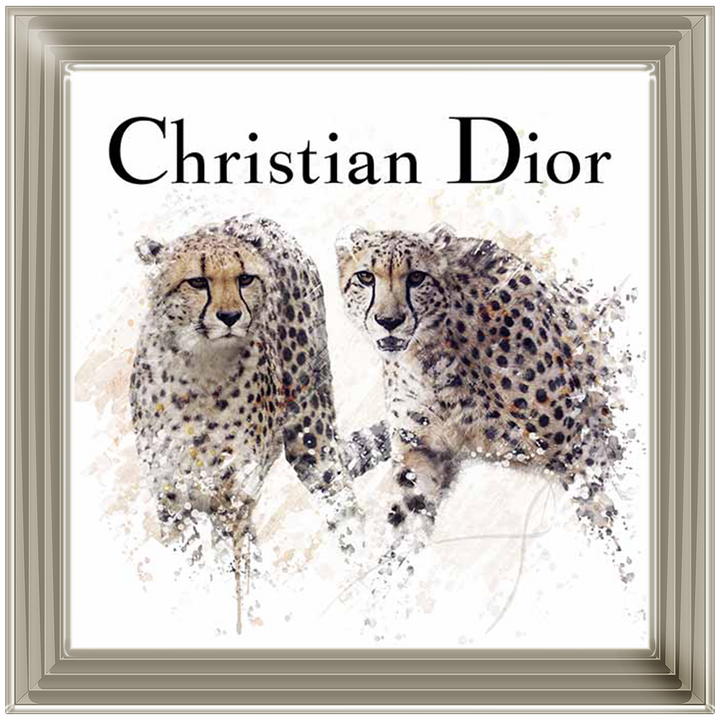 FS678 Designer Cheetahs