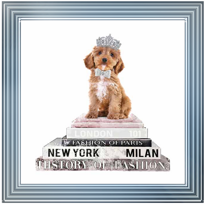 Show Dog