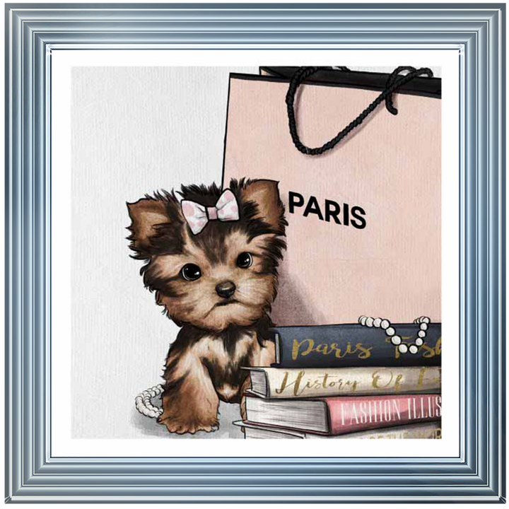 FS699 Fashion Yorkie
