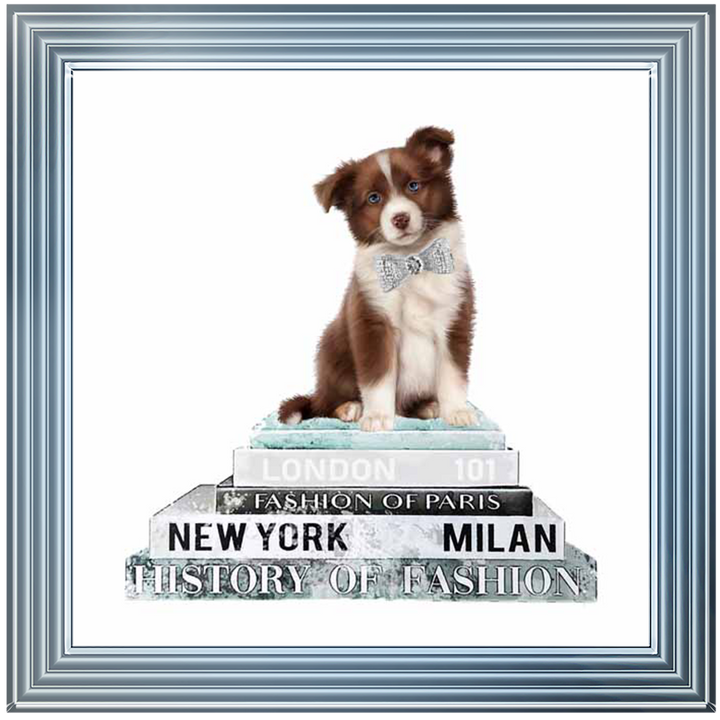 FS703 Fashion Brown Collie