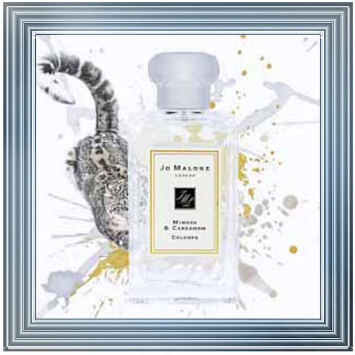 FS736 Big Cat Jo Malone Perfume