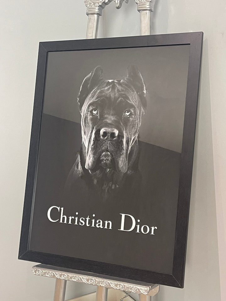 Dog Portrait