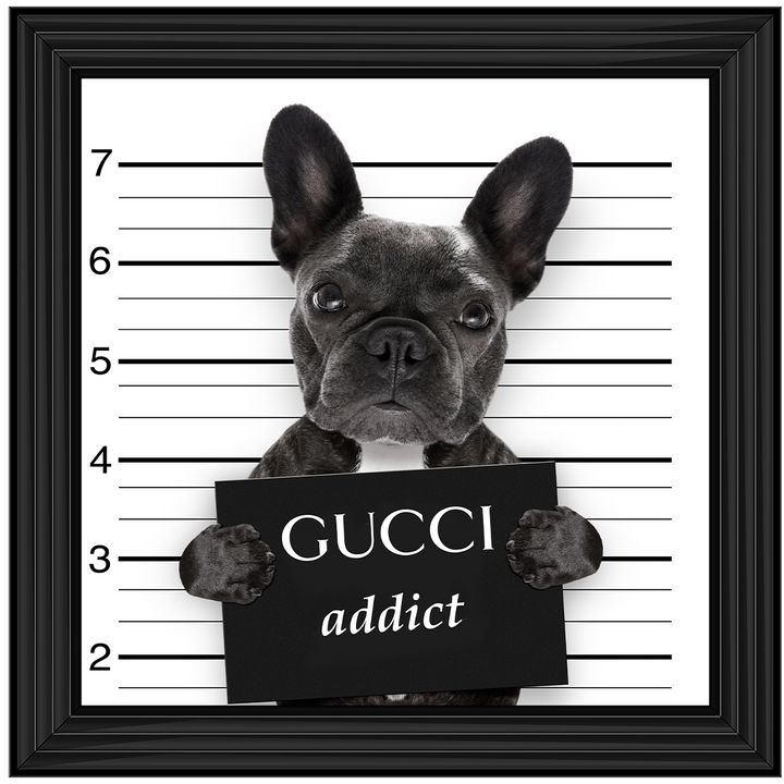 FS830 Frenchie under arrest