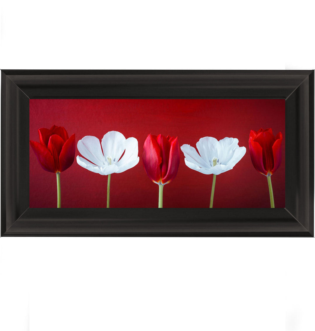 Tulips and Christmas Roses Red Small
