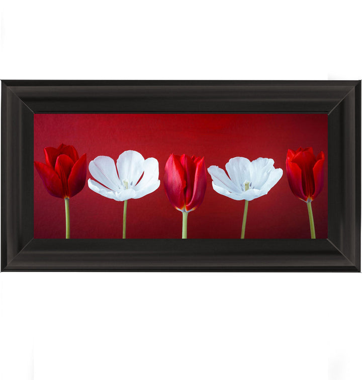 Tulips and Christmas Roses Red Small