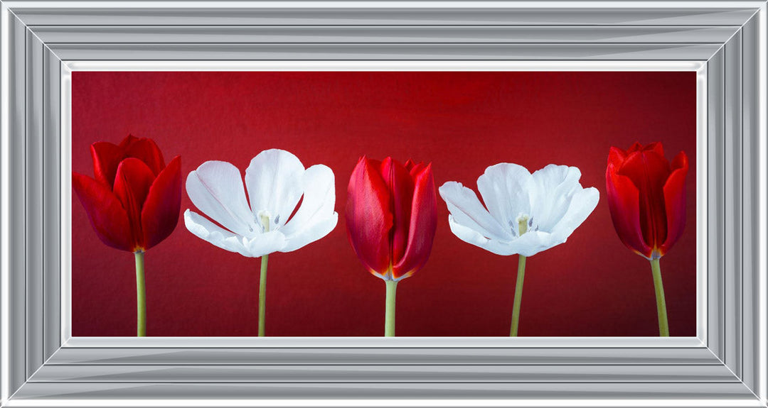 Tulips and Christmas Roses Red Small