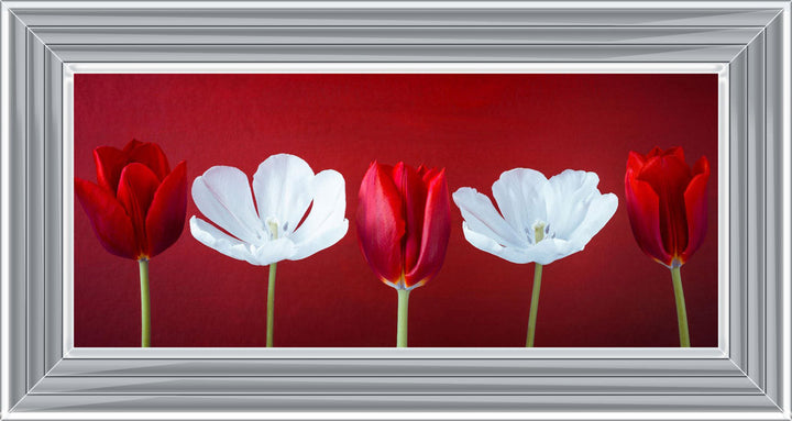 Tulips and Christmas Roses Red Small