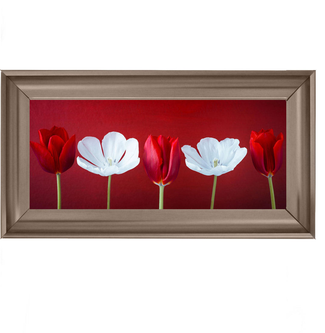 Tulips and Christmas Roses Red Small