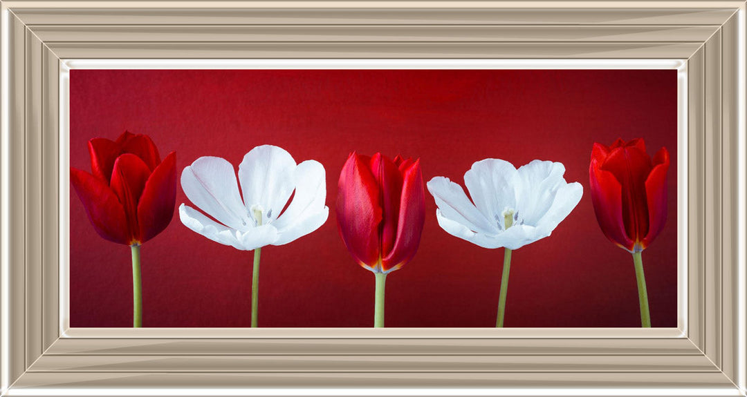Tulips and Christmas Roses Red Small