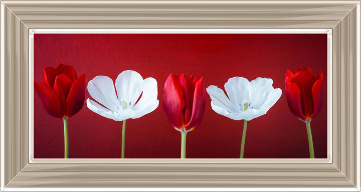 Tulips and Christmas Roses Red Small