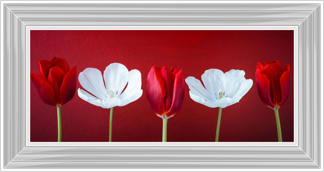 Tulips and Christmas Roses Red Small