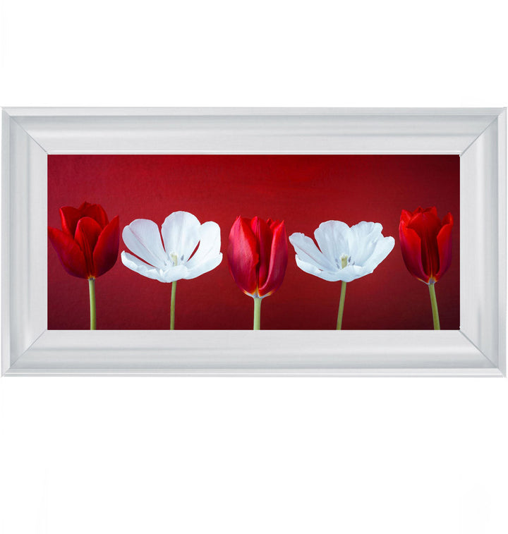 Tulips and Christmas Roses Red Small