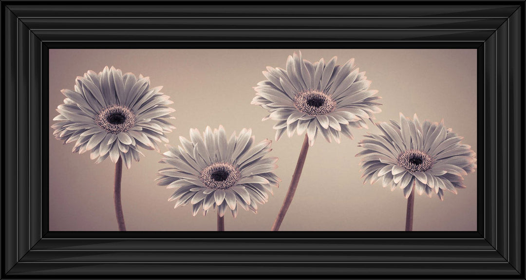 Natural Gerberas Small