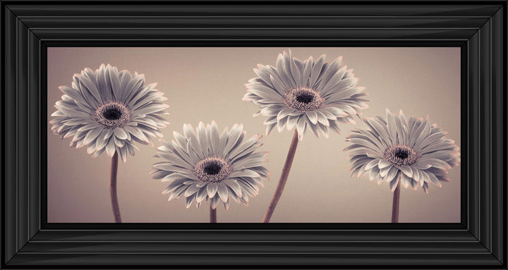 Natural Gerberas Small