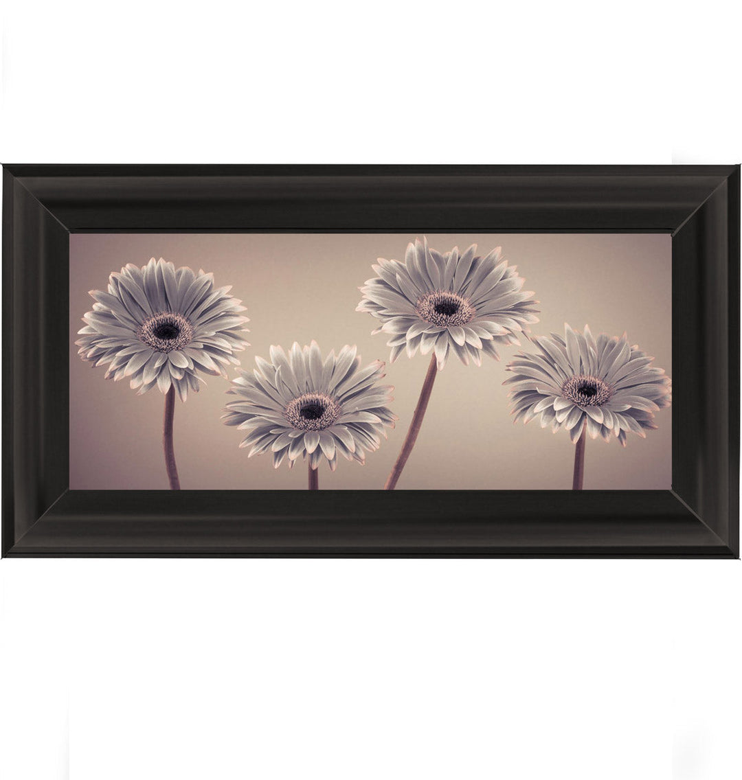 Natural Gerberas Small