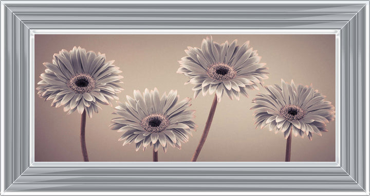 Natural Gerberas Small