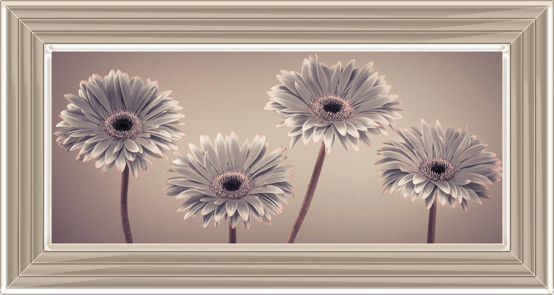 Natural Gerberas Small