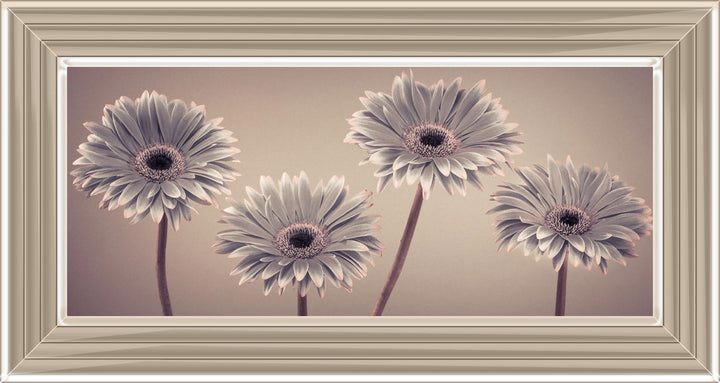 Natural Gerberas Small