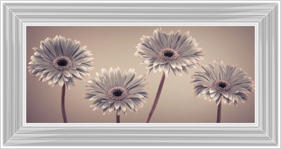 Natural Gerberas Small