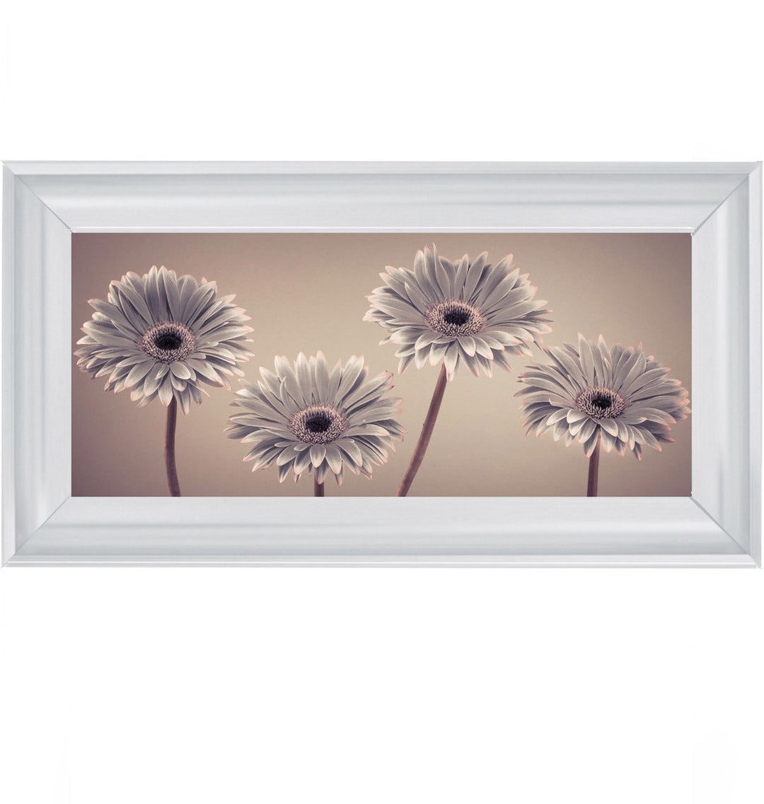 Natural Gerberas Small