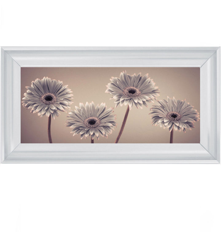 Natural Gerberas Small