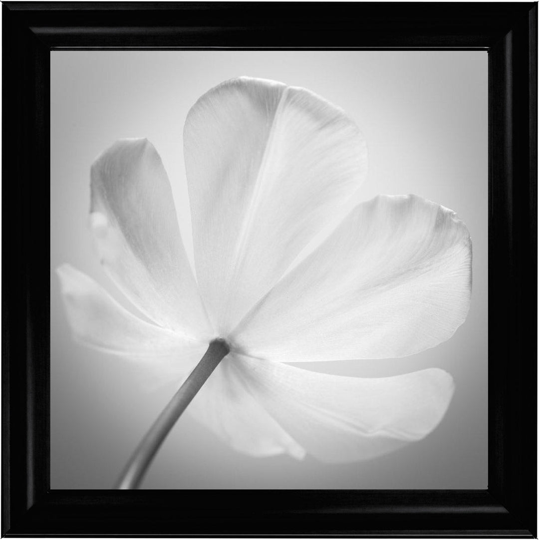 Open Poppy Right