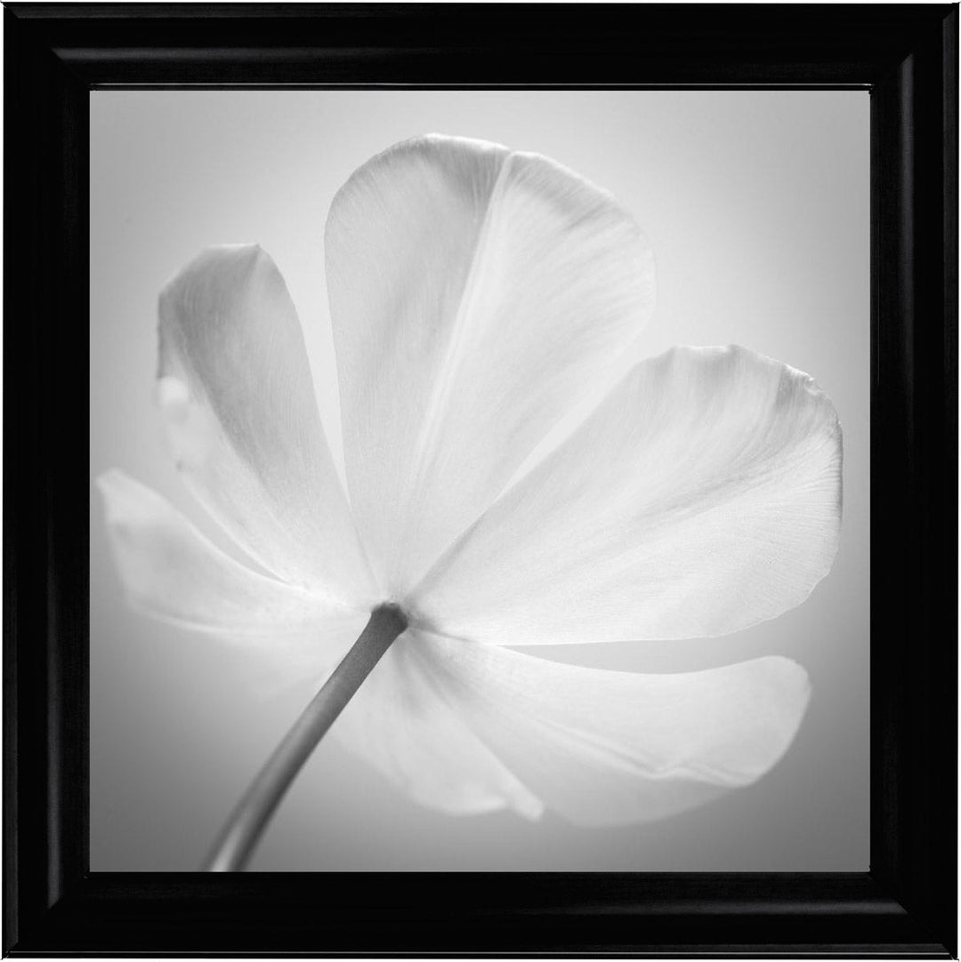 Open Poppy Right