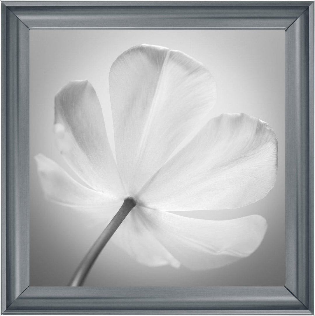 Open Poppy Right