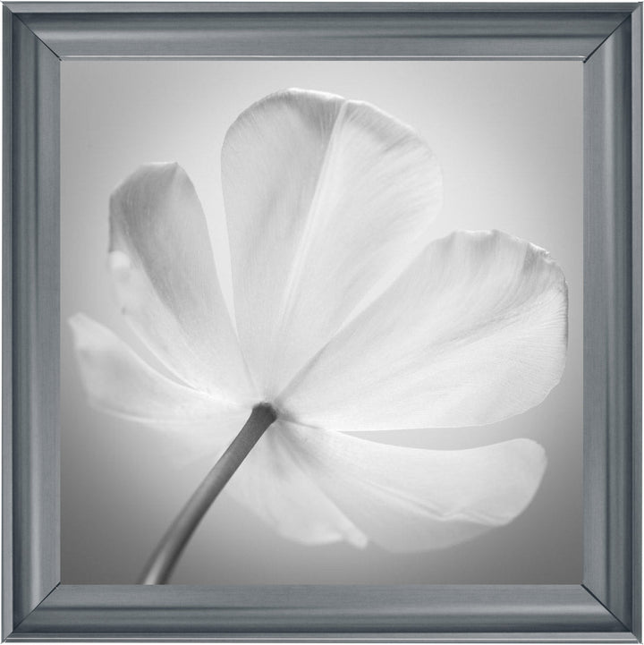 Open Poppy Right