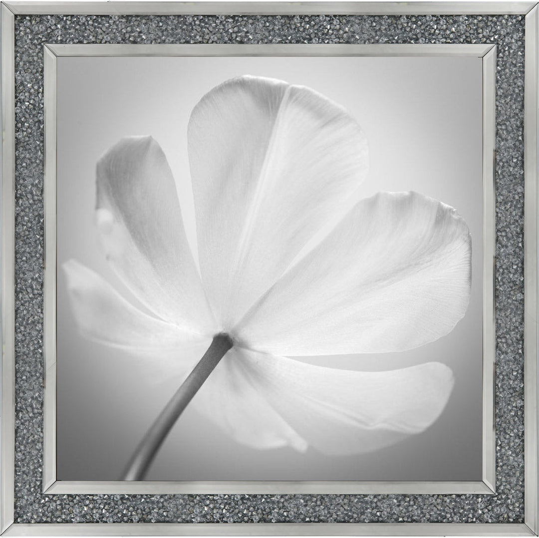 Open Poppy Right