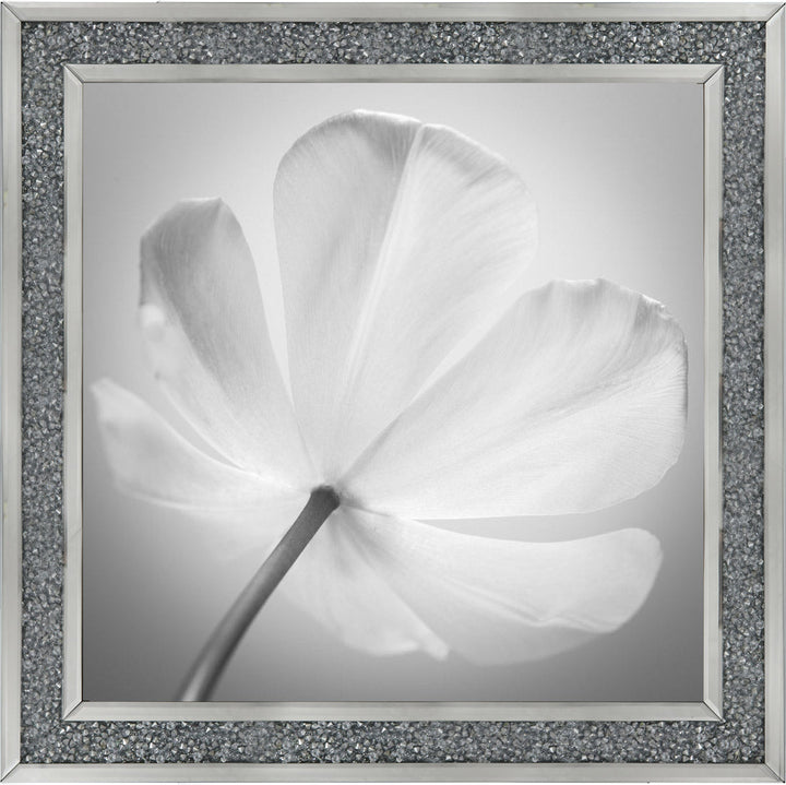 Open Poppy Right