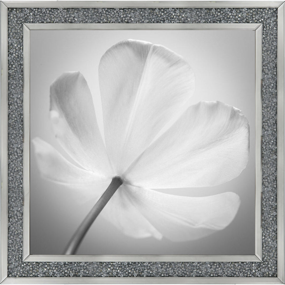 Open Poppy Right