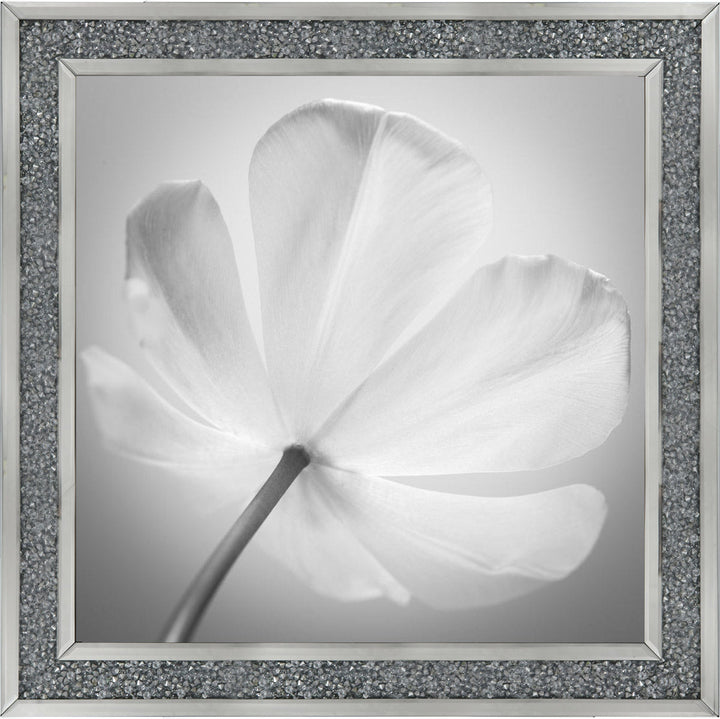 Open Poppy Right