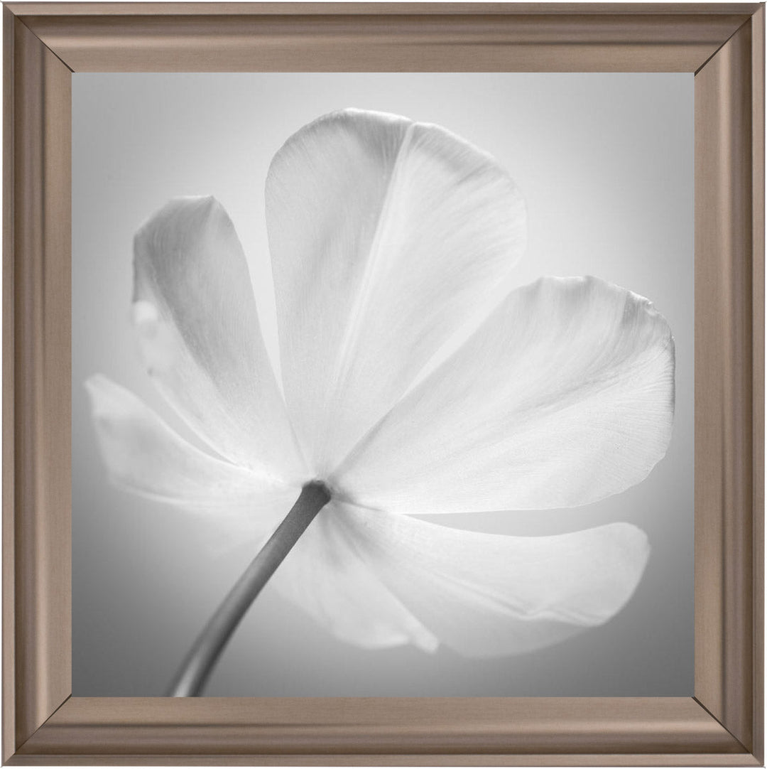Open Poppy Right