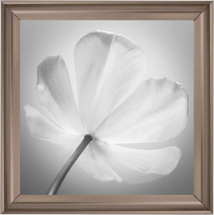 Open Poppy Right