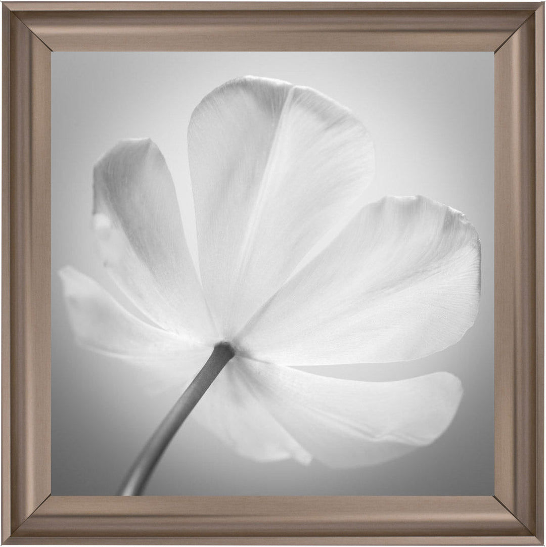 Open Poppy Right