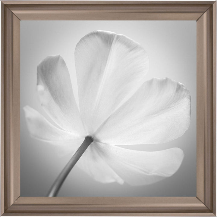 Open Poppy Right