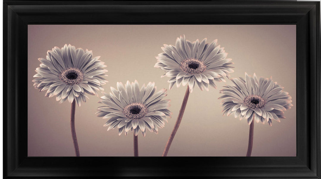 Natural Gerberas Large