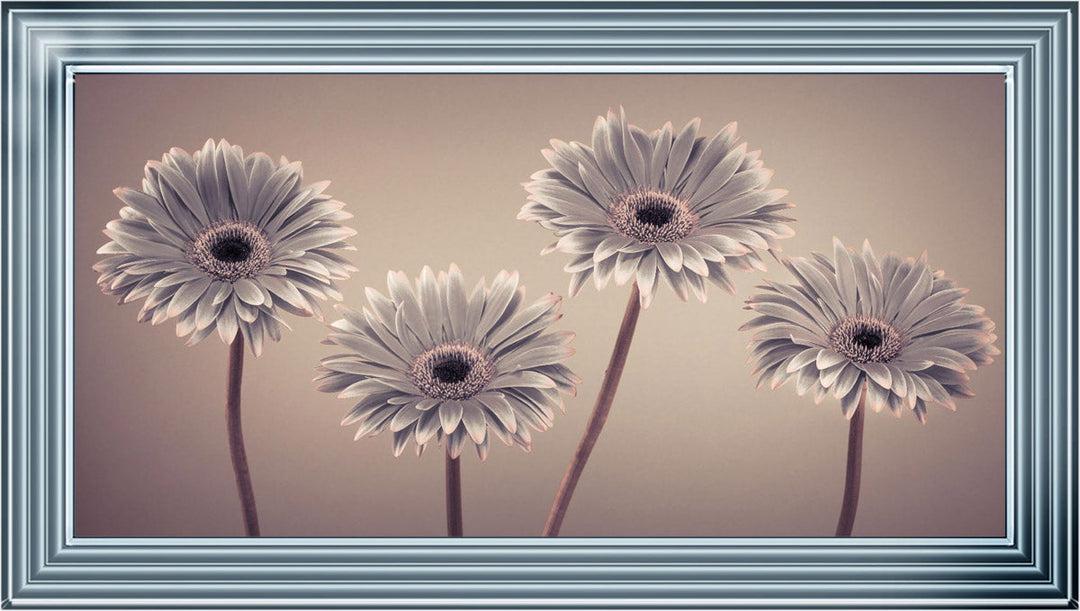 Natural Gerberas Large