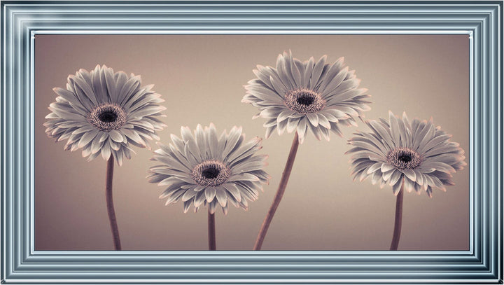 Natural Gerberas Large