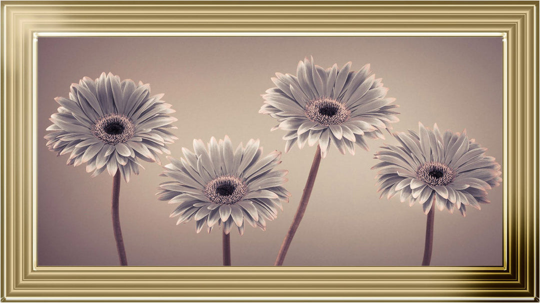 Natural Gerberas Large