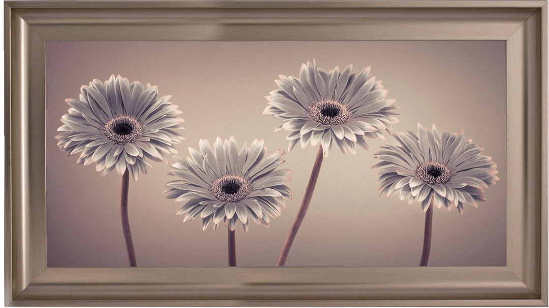Natural Gerberas Large