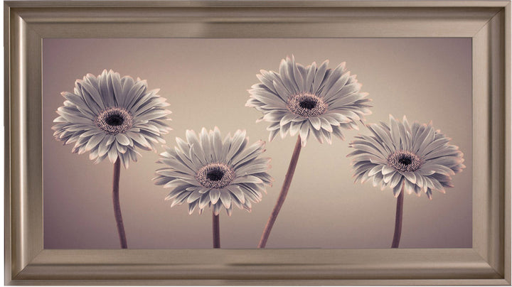 Natural Gerberas Large