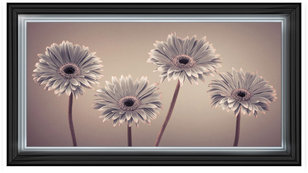 Natural Gerberas Large