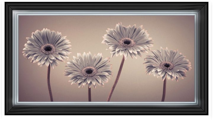 Natural Gerberas Large