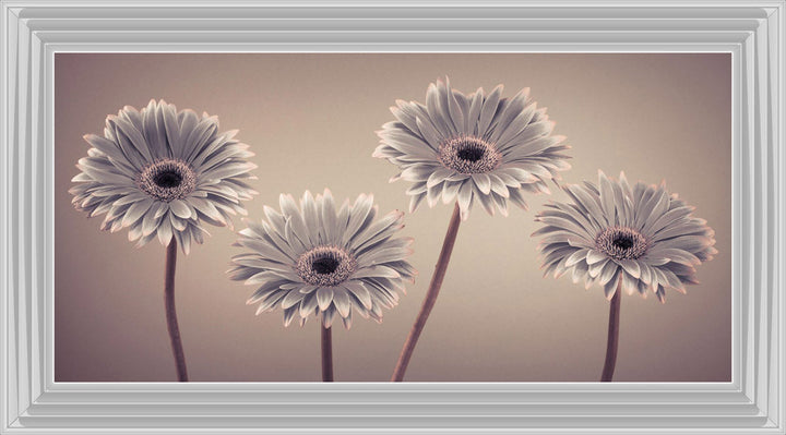 Natural Gerberas Large